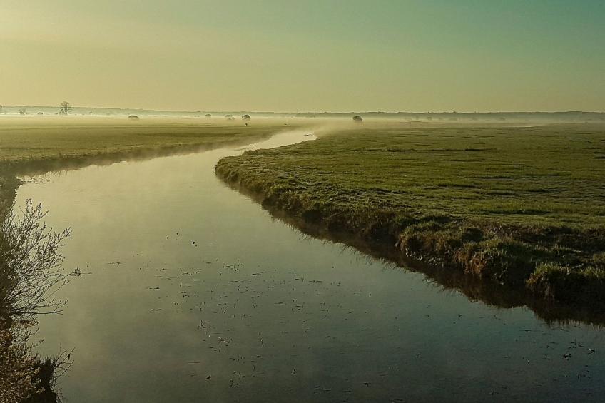 Le domaine des roseraies, Unterkunft Flaubert - foto 43