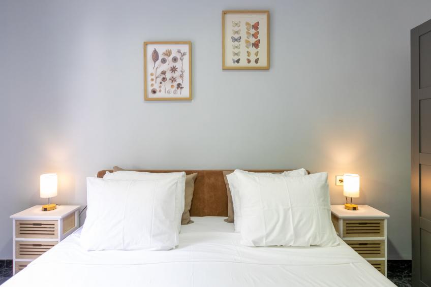 Bugambilla - foto 43