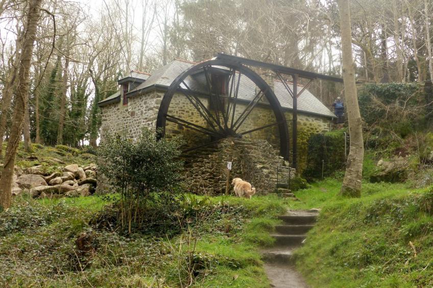 Unterkunft in der Mitte - foto 27