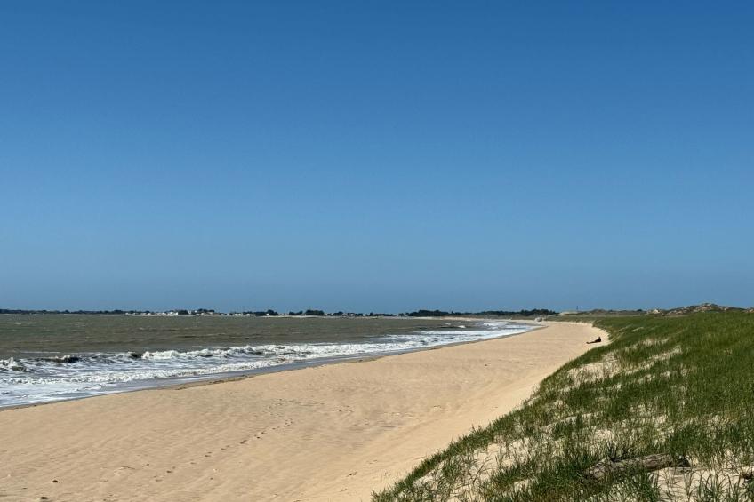 Maison de charme Les Yuccas - foto 2