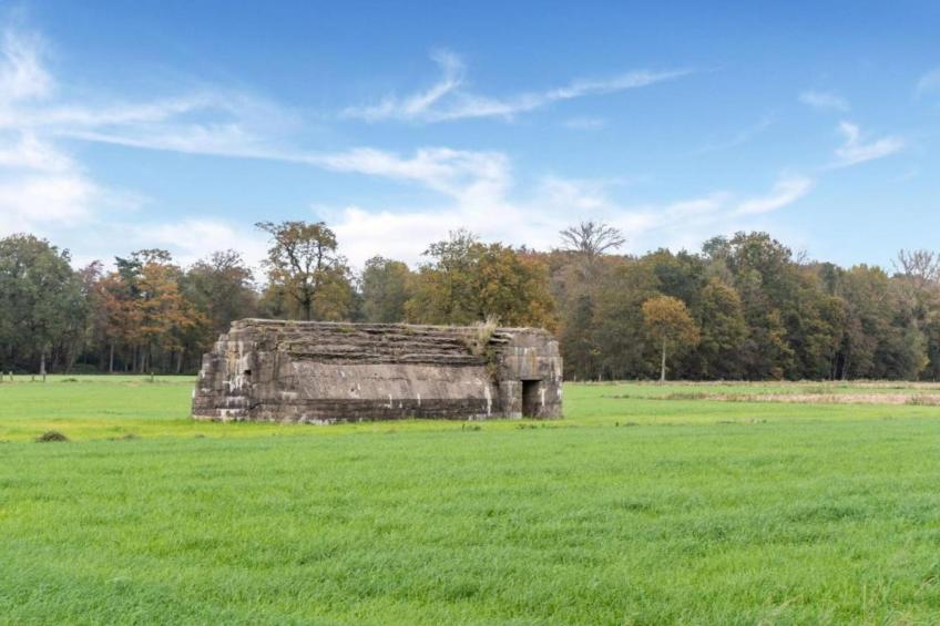 Casteeldoorn - foto 28