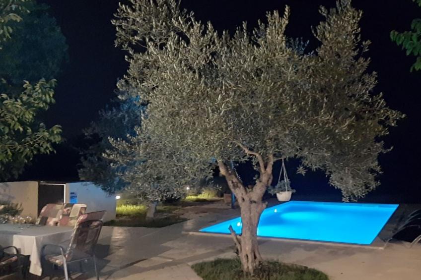 AQUA mit Pool - foto 9