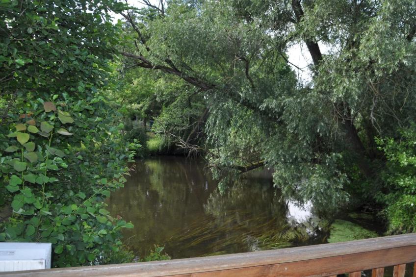 Rosalie - Ruhig - Zentral - Hochwertig - foto 22