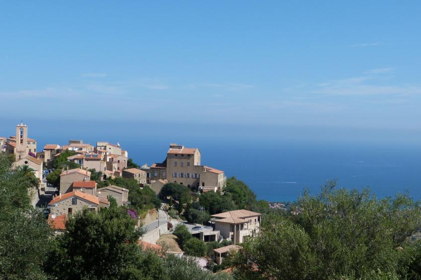 'Vista di Sognu Casa Olivea'