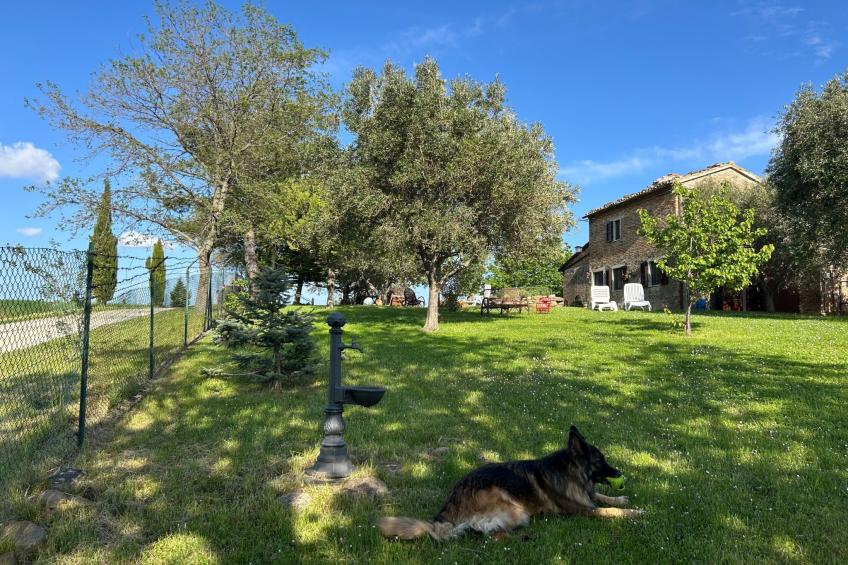 Bauernhaus Santa Maria del Monte - foto 14