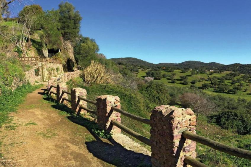 The Turtle - foto 39