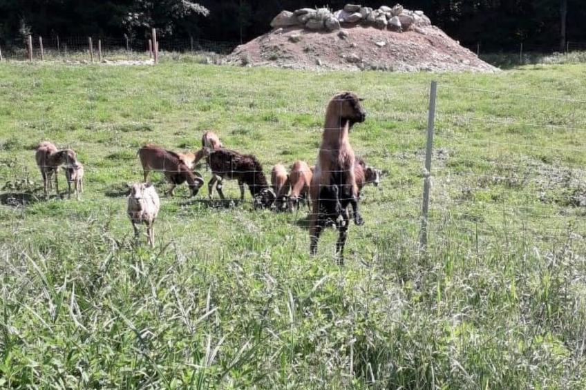 Marco in Eppenschlag - foto 27