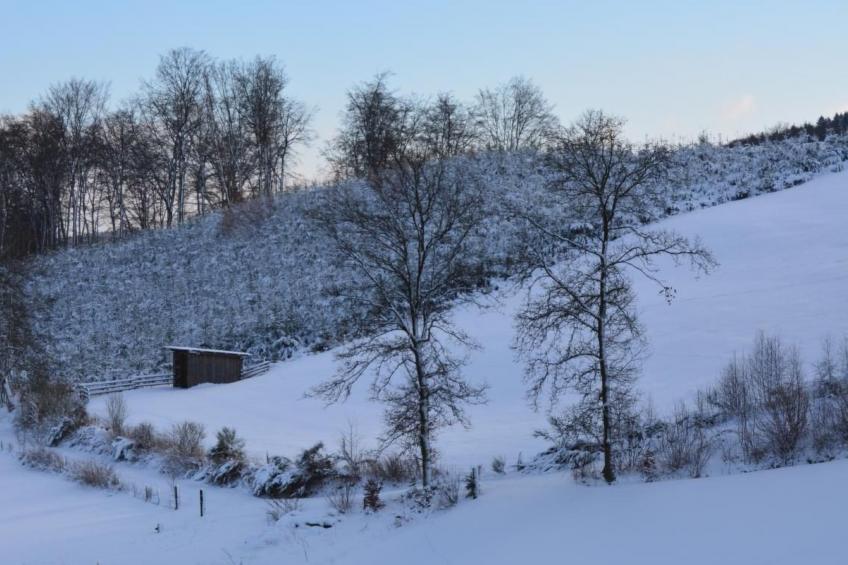 in Feldmannshof mit Grill und Garten - foto 37