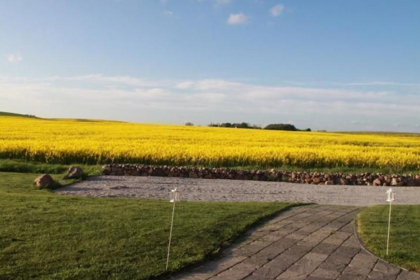 Studio Eagle - foto 7