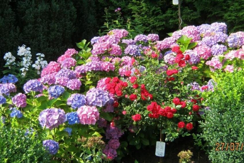 Traumferienwohnung in Hitzacker ot Bahrendorf - foto 12