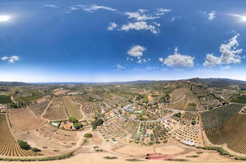 Castagneto1 - foto 26