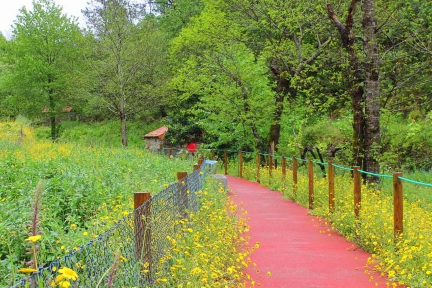 Ländliche Finca "Casa da Rocha" - foto 42