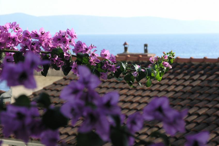 direkt am Strand - foto 28