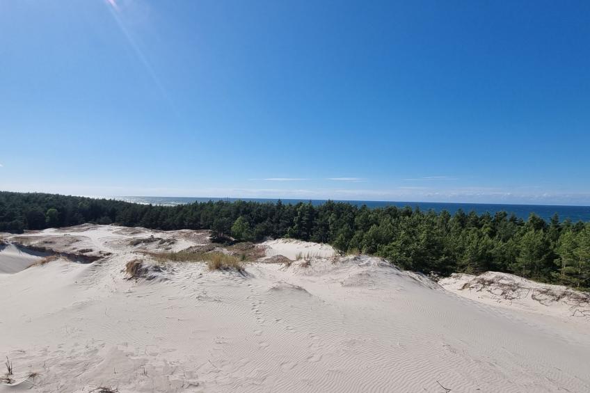 Lublewo21 Ferienhäuser - foto 46