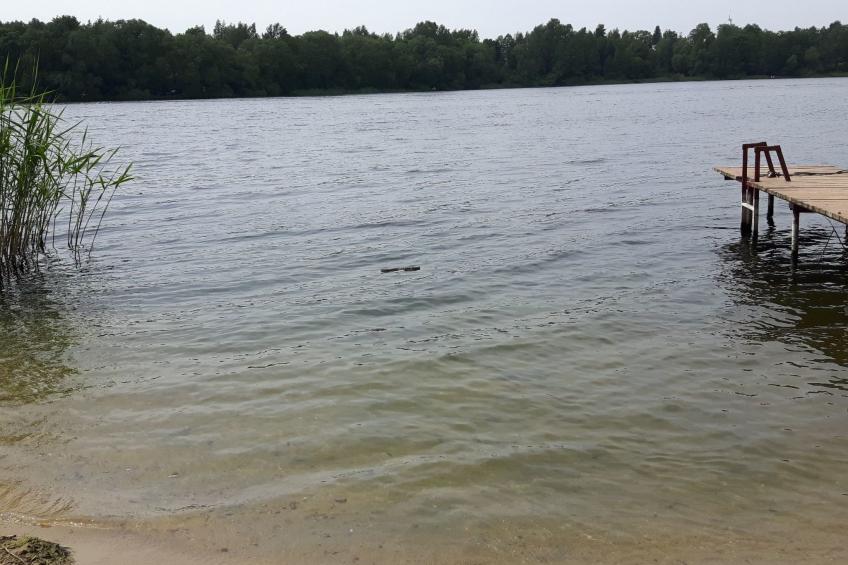 mit Wasserblick - foto 2