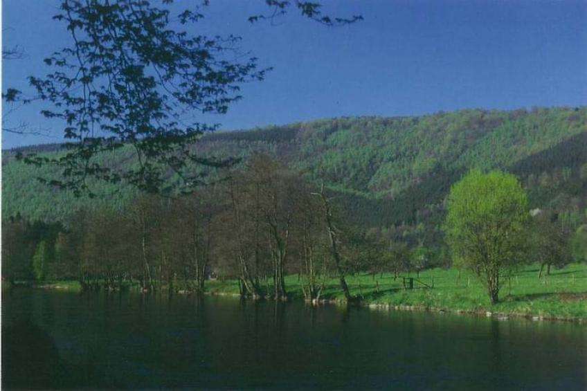 Le Chaly - foto 22
