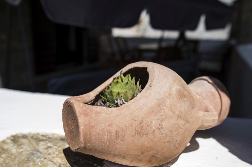 mit eigenem Pool - foto 28