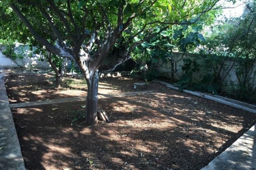 Schönes Surfercottage mit herrlichem Garten - foto 22