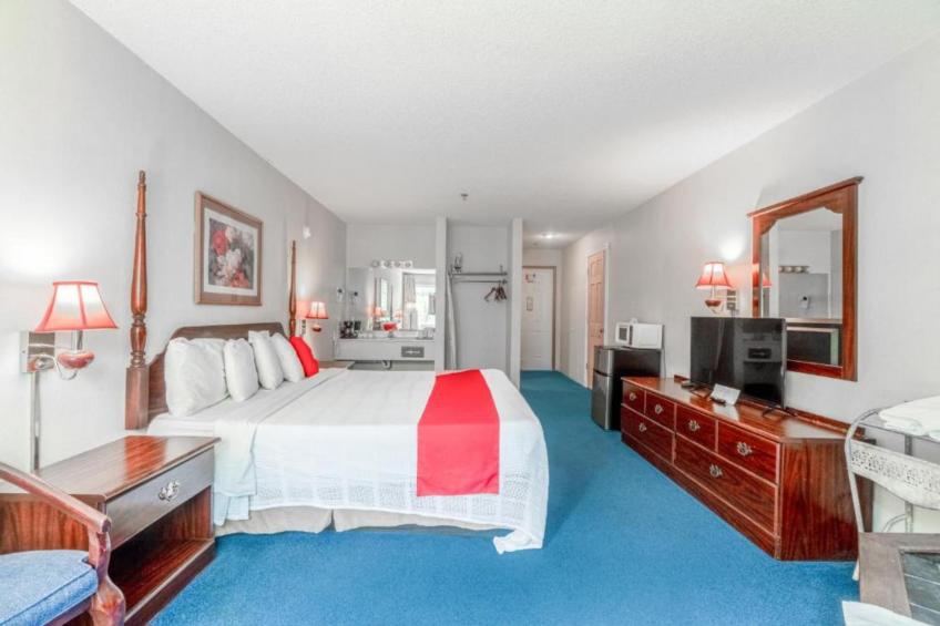 Premium King Room with Jetted Tub - foto 7