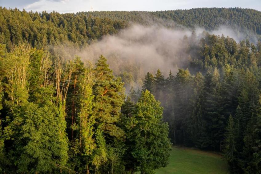 Panoramablick - foto 27