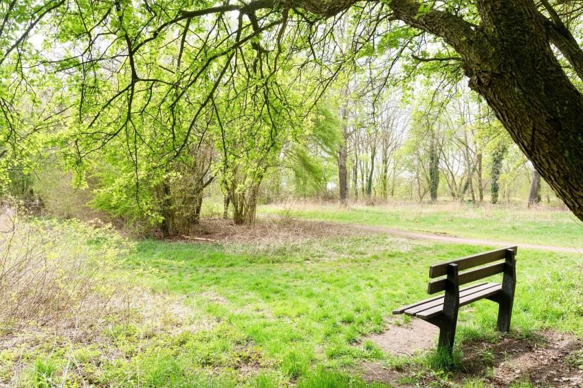 Okken House 3A - foto 19