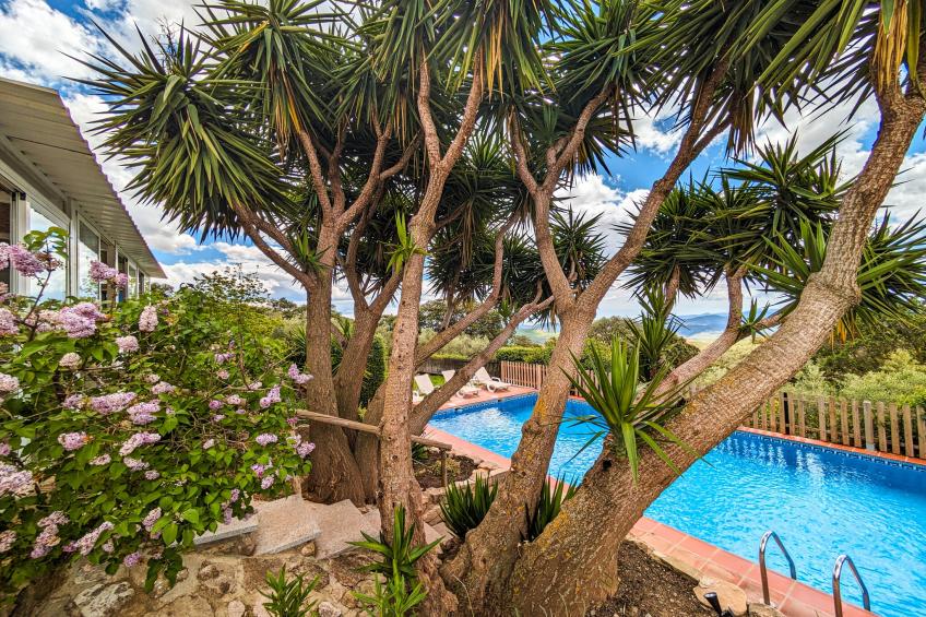 Finca las Chozas - foto 11