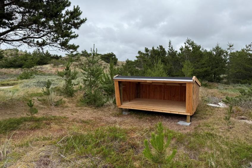 "Ola" - 900m from the sea - foto 11