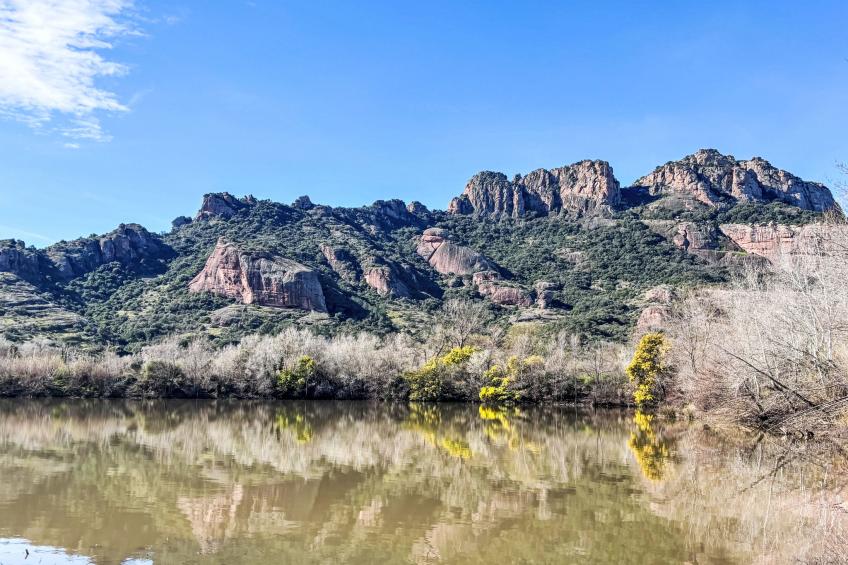 Mas du Combaud (RSA170) - foto 26