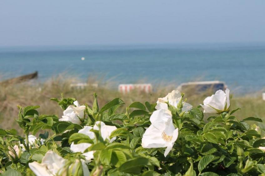 Romantische Idylle 1 - foto 36