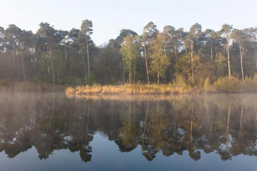 Jules Verne - foto 34