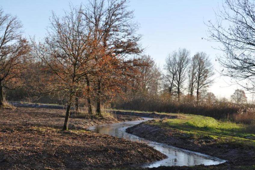 Buitenhof De Leistert - foto 33