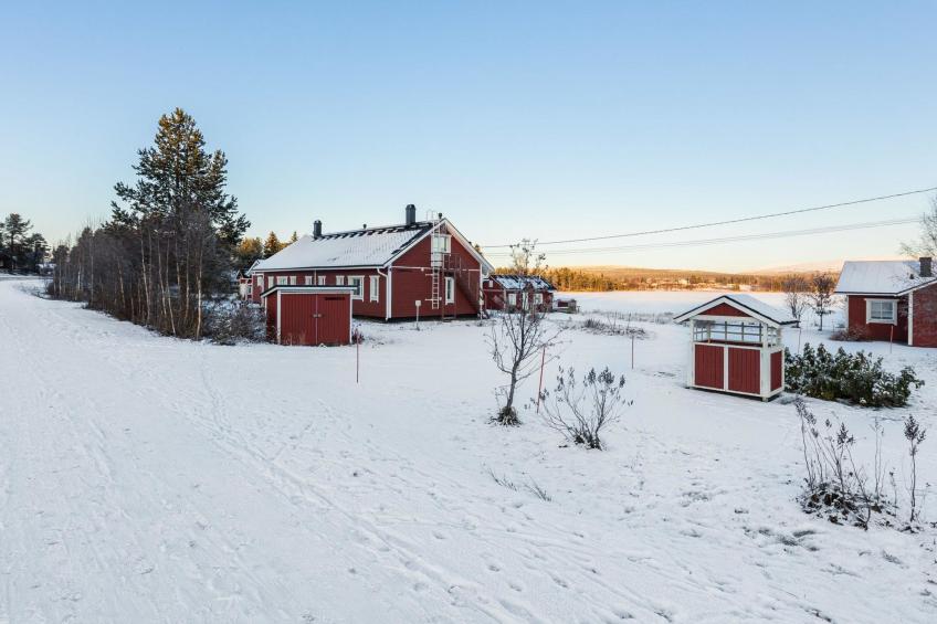 Tammukka i - foto 13