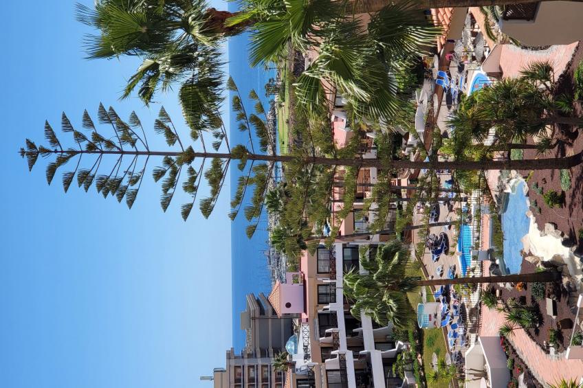 Studio mit beheiztem Pool - foto 57