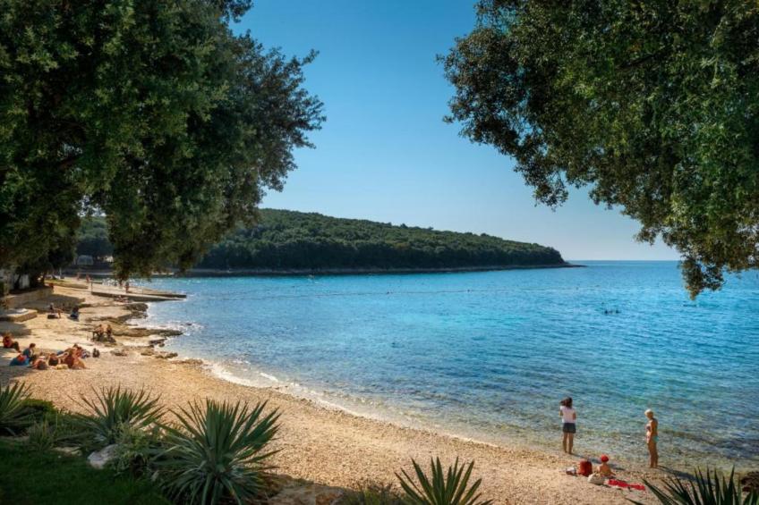 Casa Vacanza Orsera - foto 27