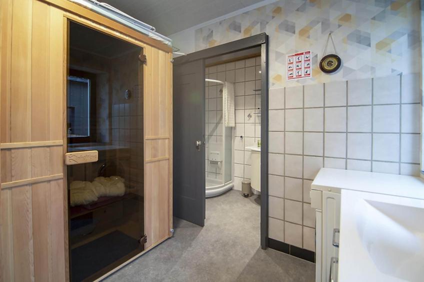 Charmante habiation avec Sauna infrarouge à Wirtzfeld - foto 40