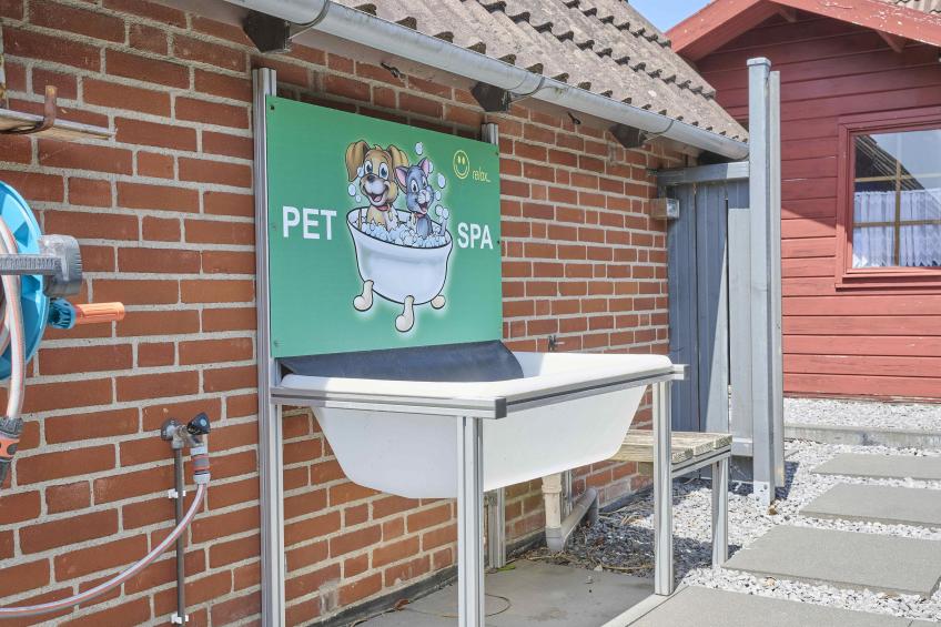 De Zeediek - foto 12