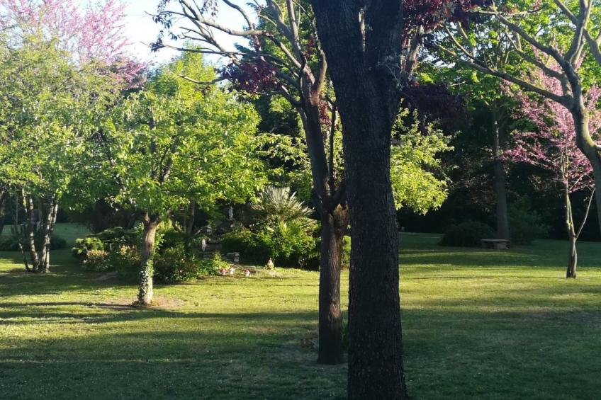 Wohnung mit Privatparkplatz - foto 6