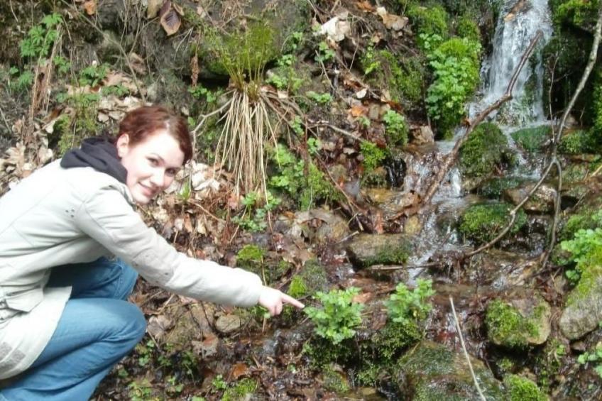 Fewo Altes Schulhaus - foto 25