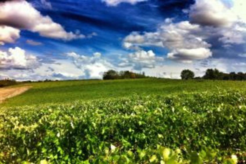 Villa Lena - foto 24