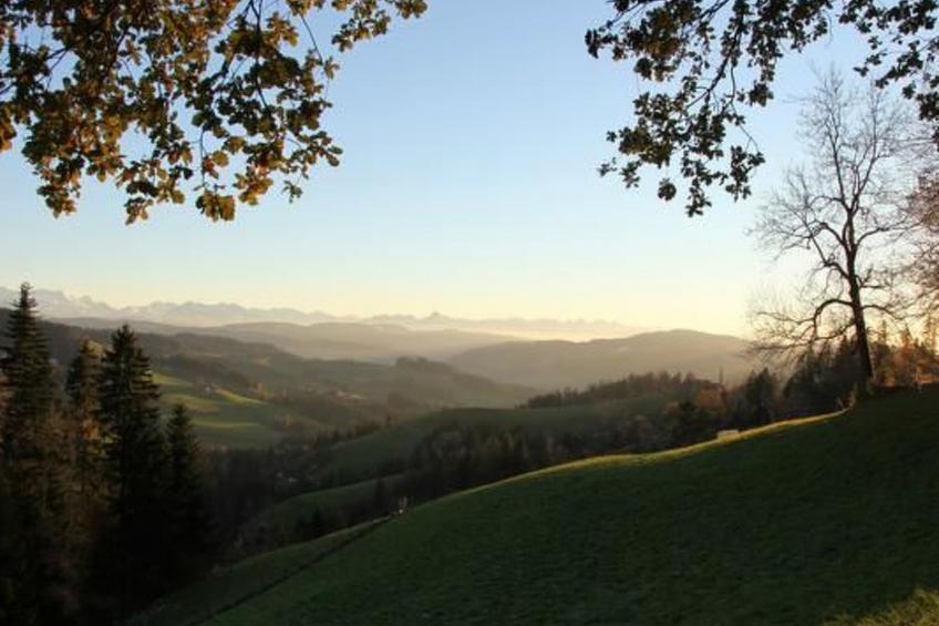 Bauern-Spycher - foto 14