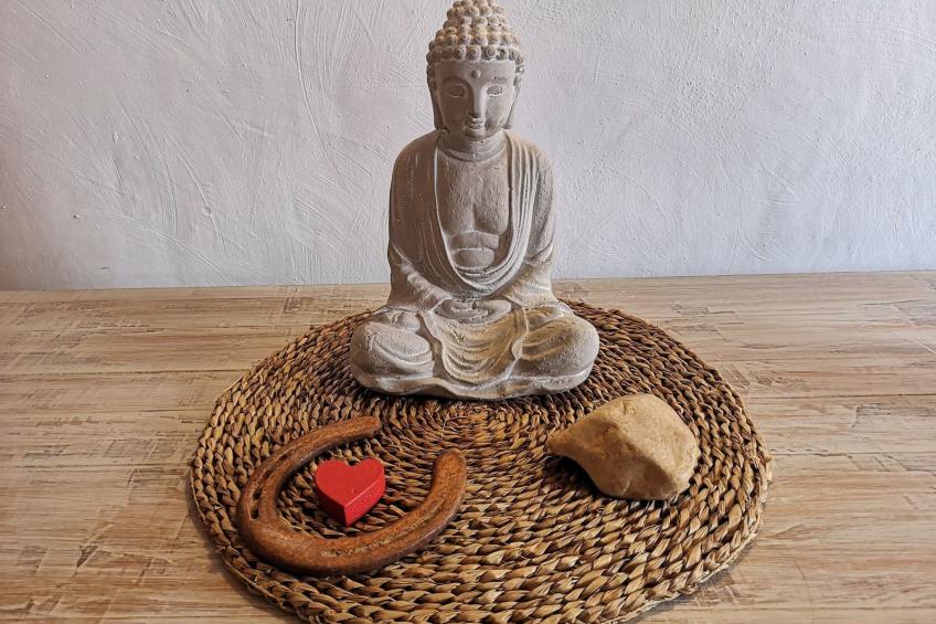 Domicilio de Vida - foto 26