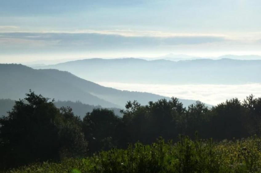 Piccola casa romantica - foto 6