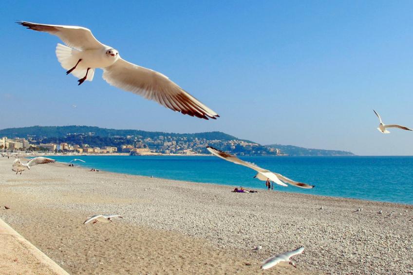 Appartements à Nice - foto 5