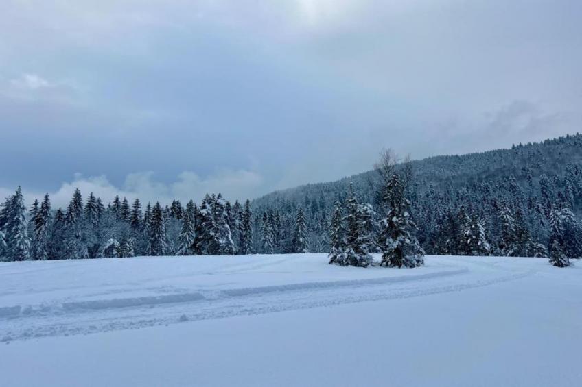 La Marmotte - foto 19