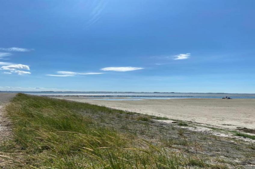 De Meerkoet - foto 27