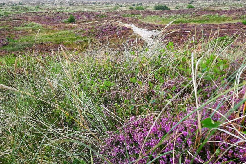 MOTEL UDSIGTEN - foto 11