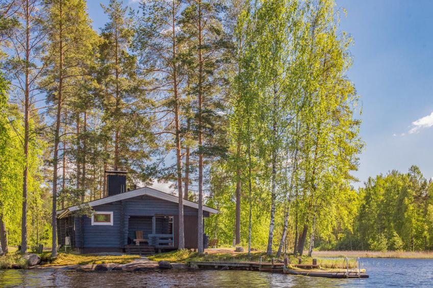 Aurinkoniemi - foto 6