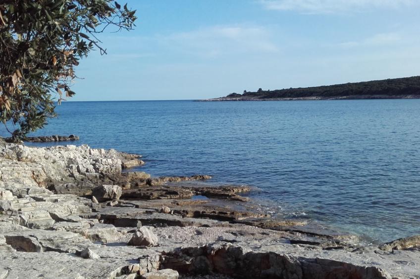 in Pavićini mit Grill, Terrasse und Garten - foto 18