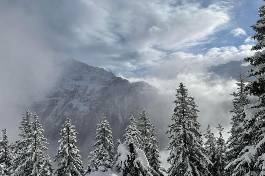 Chalet Bergruh - foto 20