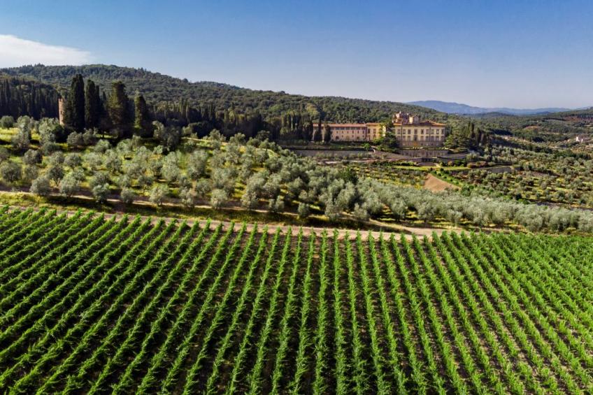 Torre A Cona Wine Estate View Suite Bb
